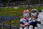 Dcim12037/DSC_0062