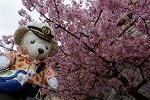 Dcim12037/DSC_0113