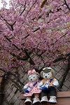 Dcim12041/DSC_0492