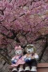 Dcim12041/DSC_0493