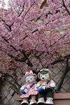 Dcim12041/DSC_0494