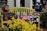 Dcim12041/DSC_0540