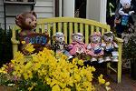 Dcim12041/DSC_0542