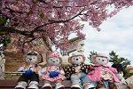 Dcim12041/DSC_0554