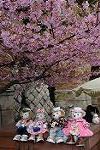 Dcim12041/DSC_0568