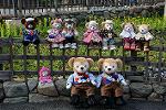 Dcim12041/DSC_0571