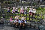 Dcim12041/DSC_0580