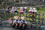 Dcim12041/DSC_0581