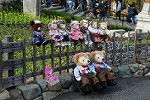 Dcim12041/DSC_0582