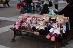 Dcim12041/DSC_0591