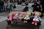 Dcim12041/DSC_0593