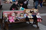 Dcim12041/DSC_0604