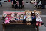 Dcim12041/DSC_0607