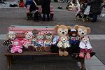 Dcim12041/DSC_0608