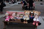 Dcim12042/DSC_0609