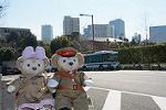 Dcim12046/DSC_1161