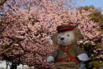 Dcim12047/DSC_1252