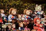 Dcim12049/DSC_1491