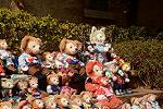 Dcim12049/DSC_1492
