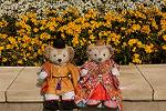 Dcim12049/DSC_1529