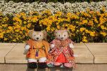 Dcim12049/DSC_1532