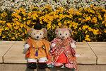 Dcim12049/DSC_1533