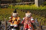 Dcim12049/DSC_1537
