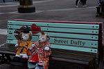 Dcim12051/DSC_1725
