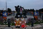 Dcim12051/DSC_1753
