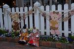 Dcim12052/DSC_1856