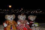 Dcim12052/DSC_1955