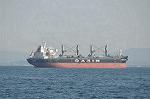 Dcim12053/DSC_9733
