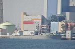 Dcim12053/DSC_9882