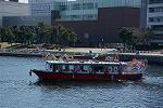 Dcim12056/DSC_2289