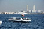 Dcim12056/DSC_2293