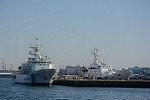 Dcim12056/DSC_2312