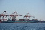 Dcim12056/DSC_2341