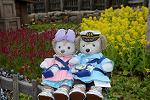 Dcim12060/DSC_2975