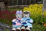 Dcim12060/DSC_2976