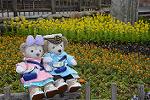 Dcim12060/DSC_2977