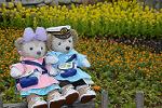 Dcim12060/DSC_2978