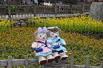 Dcim12060/DSC_2979