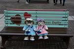 Dcim12061/DSC_3182