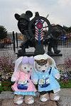 Dcim12062/DSC_3234