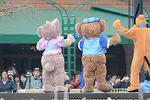 Dcim12063/DSC_3400