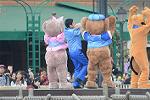 Dcim12063/DSC_3402