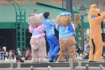 Dcim12063/DSC_3403