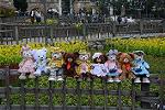 Dcim12063/DSC_3496