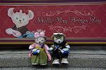 Dcim12078/DSC_5334