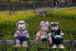 Dcim12079/DSC_5399
